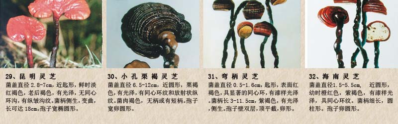 圖片關鍵詞 圖片關鍵詞