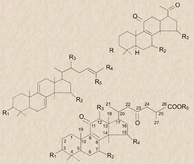 圖片關(guān)鍵詞 圖片關(guān)鍵詞