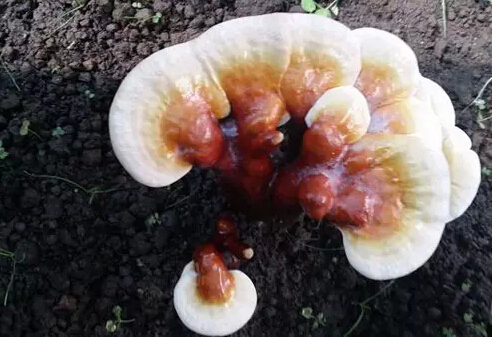 圖片關(guān)鍵詞 圖片關(guān)鍵詞