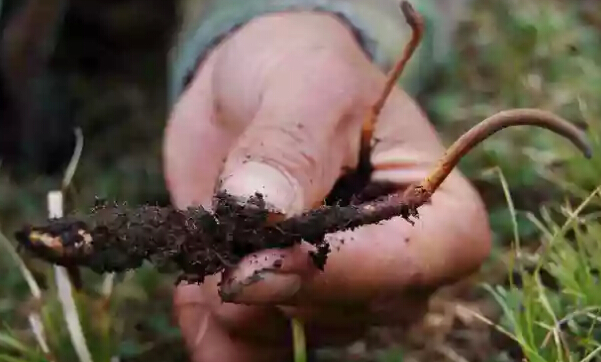 圖片關(guān)鍵詞 圖片關(guān)鍵詞