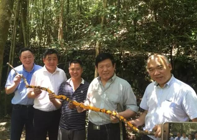 圖片關鍵詞 圖片關鍵詞