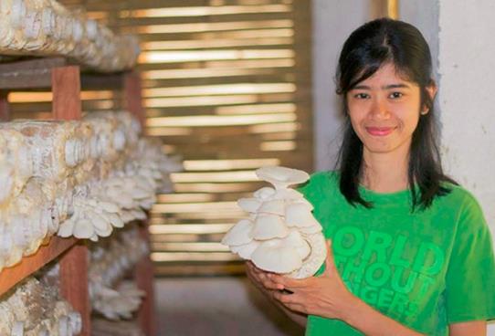 圖片關鍵詞 圖片關鍵詞