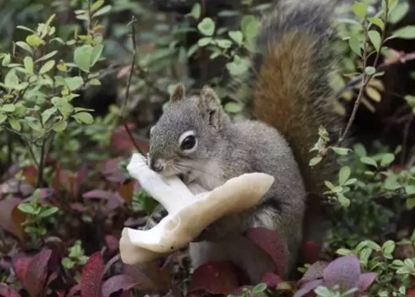 圖片關鍵詞 圖片關鍵詞