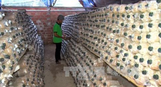 圖片關鍵詞 圖片關鍵詞