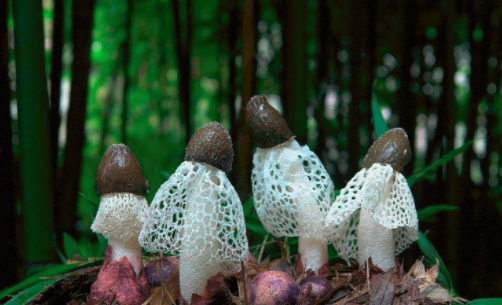 圖片關鍵詞 http://www.kayekong.com/ewebeditor/uploadfile/20180828110329835001.png