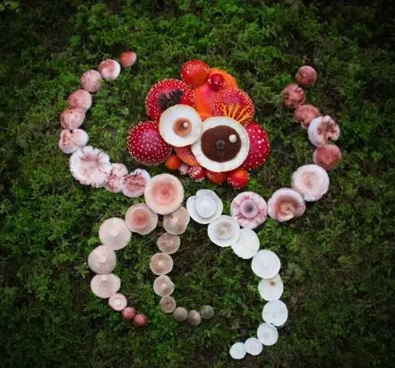 圖片關鍵詞 圖片關鍵詞