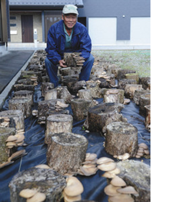 圖片關鍵詞 圖片關鍵詞