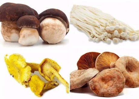 圖片關鍵詞 圖片關鍵詞