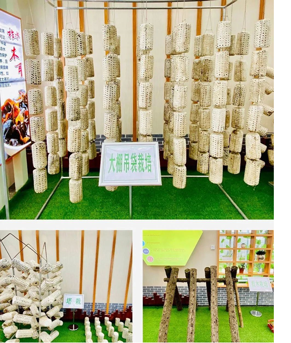 圖片關鍵詞 圖片關鍵詞