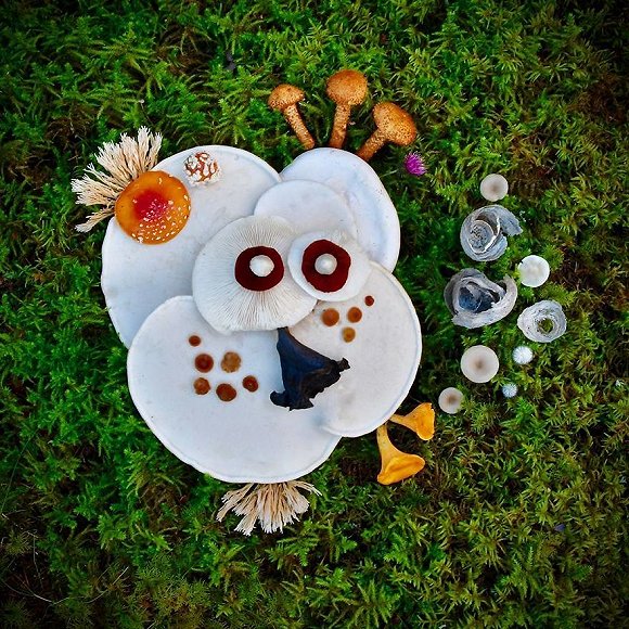 圖片關(guān)鍵詞 http://img2.jiemian.com/jiemian/original/20171123/151141487726812900_a580xH.jpg