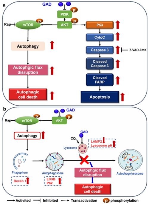 圖片關鍵詞 https://mmbiz.qpic.cn/mmbiz_png/tViaTicjwibVZnnuxTI0eMzfuPJd8DTSZHDfTHqrXYKnAEzzYzSVwZXULk6eB6iaUaTibRzELT02Ona6ukicHIpbgiczQ/640?wx_fmt=png