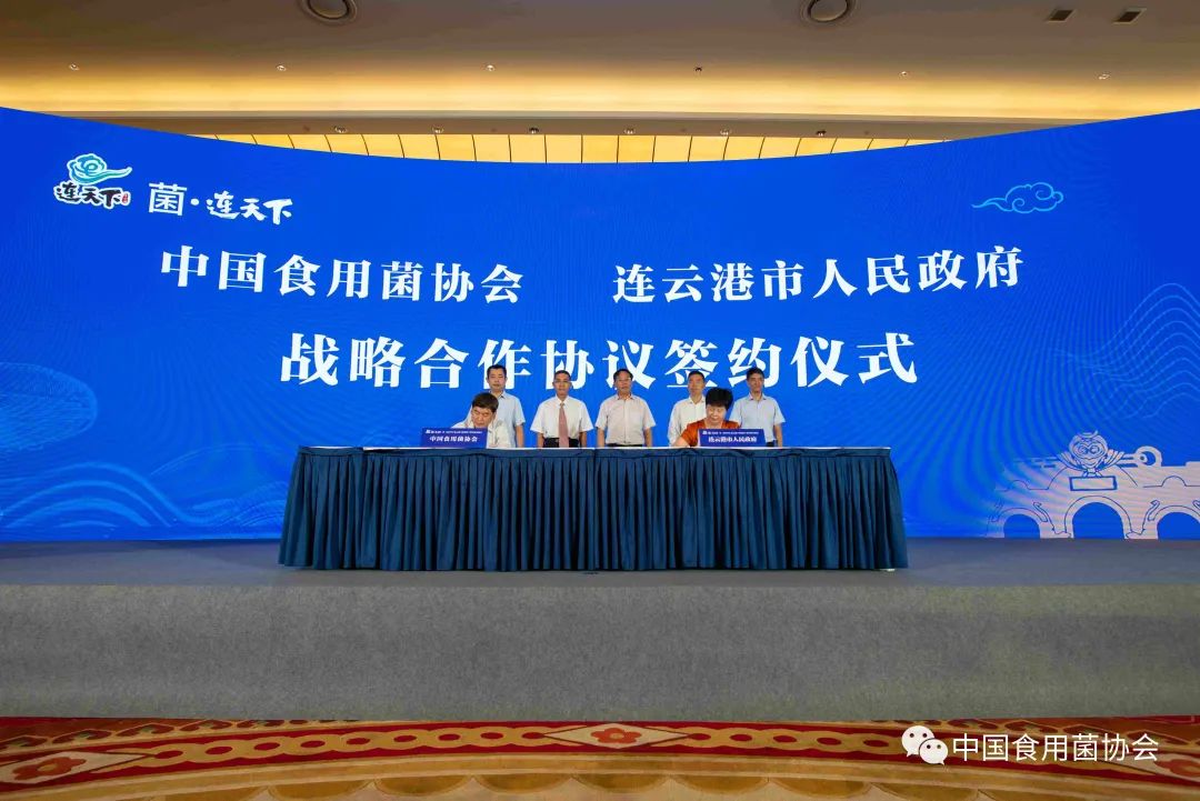 圖片關(guān)鍵詞 https://mmbiz.qpic.cn/mmbiz_jpg/qmUUOFzKOyRYEBXKnSHMvP5v7LsM30EklweGoVLSGRsibM28flEHdHmhDNqpUwZWaRib3UD2hh7R4OQtiacPRtYsg/640?wx_fmt=jpeg