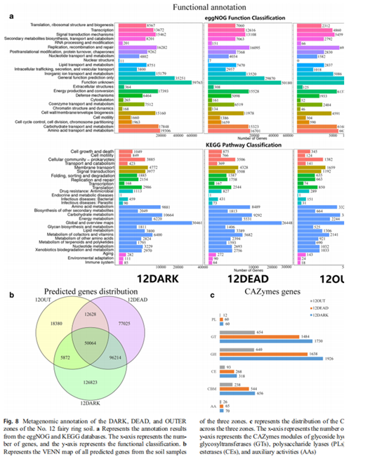 圖片關(guān)鍵詞 圖片關(guān)鍵詞