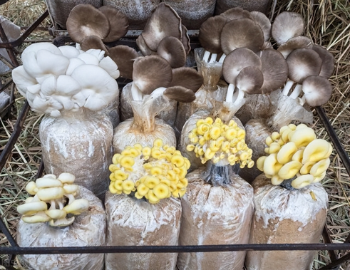 圖片關鍵詞 圖片關鍵詞