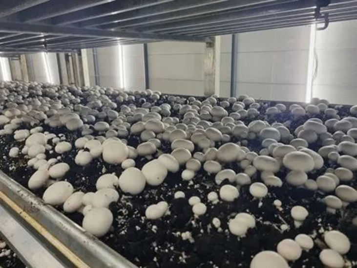 圖片關鍵詞 圖片關鍵詞