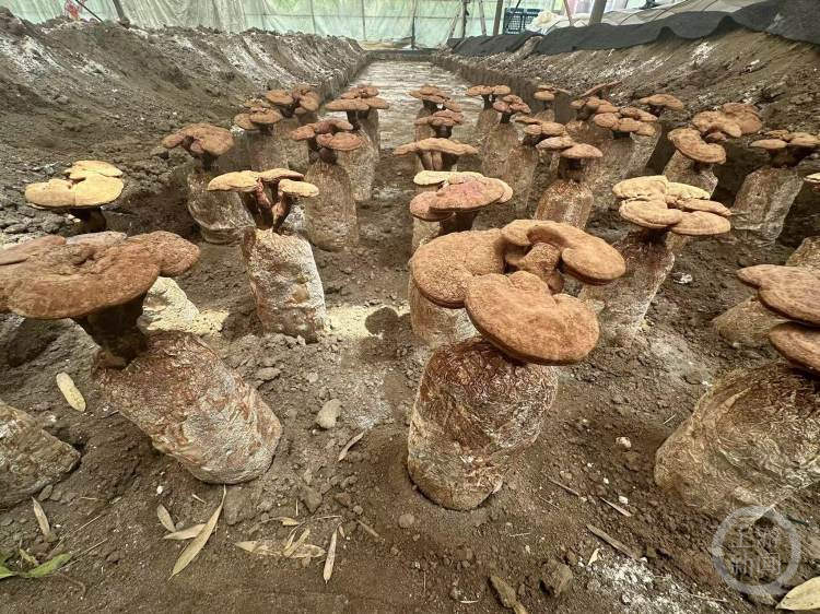 圖片關鍵詞 圖片關鍵詞