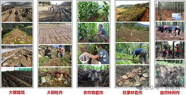 圖片關鍵詞 圖片關鍵詞