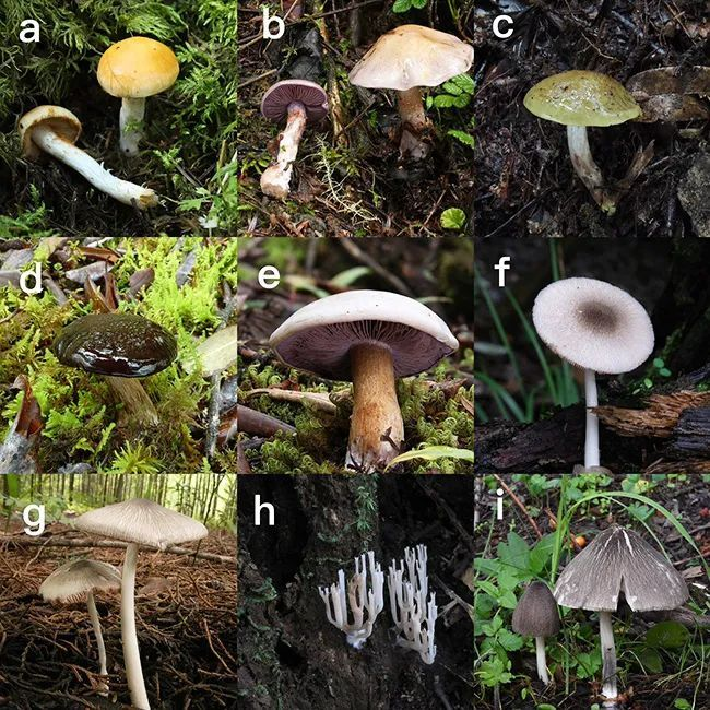 圖片關鍵詞 圖片關鍵詞