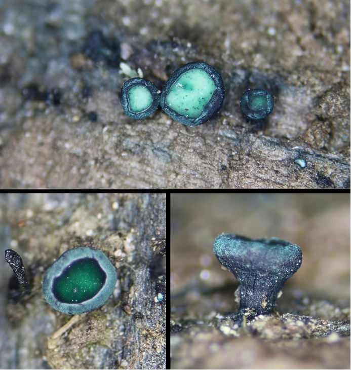 圖片關(guān)鍵詞 圖片關(guān)鍵詞