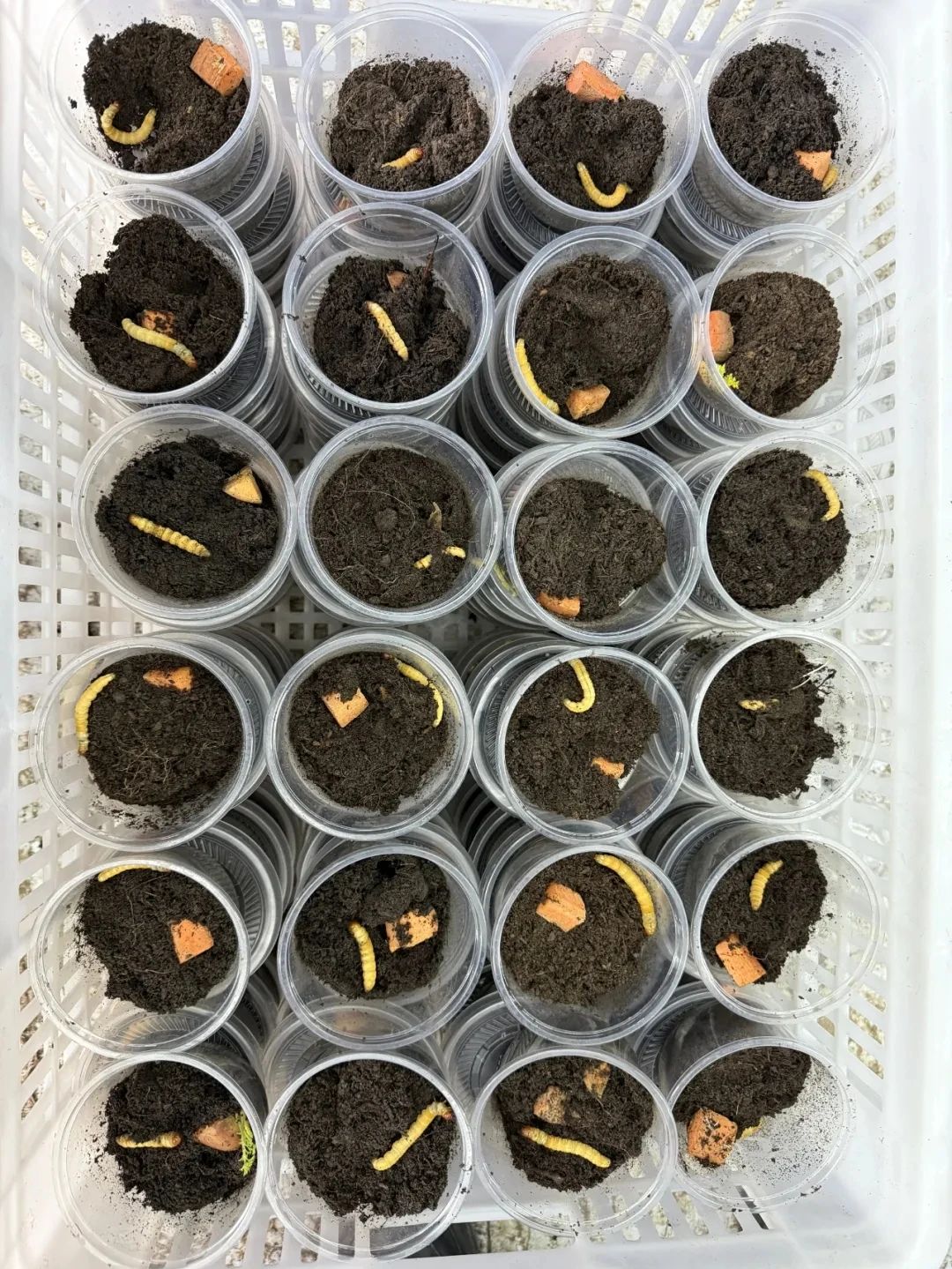 圖片關(guān)鍵詞 圖片關(guān)鍵詞