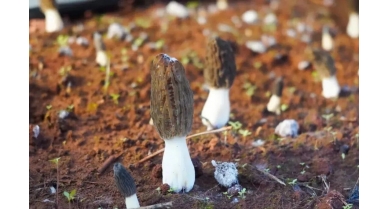 行業(yè)動態(tài)